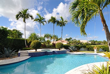tropical design pool with palm tree